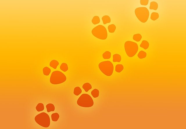 paw print 941499 640