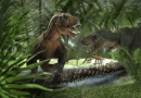 W świecie dinozaurów
